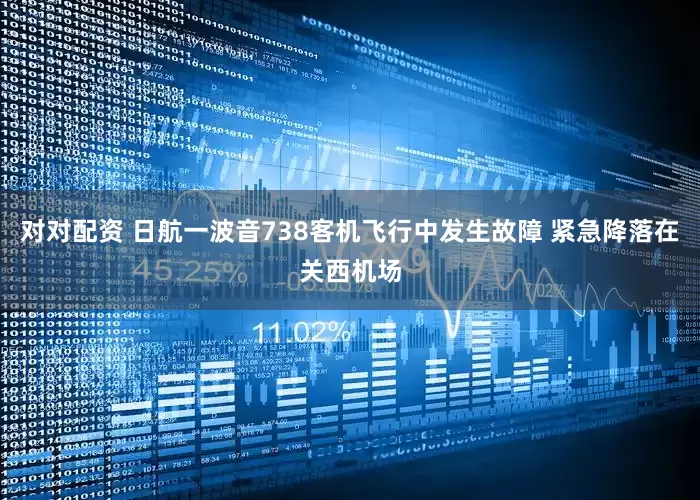 对对配资 日航一波音738客机飞行中发生故障 紧急降落在关西机场