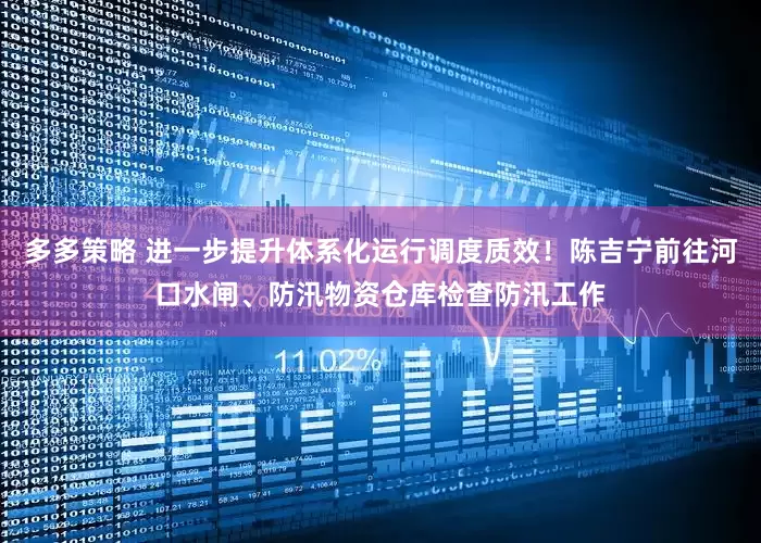 多多策略 进一步提升体系化运行调度质效！陈吉宁前往河口水闸、防汛物资仓库检查防汛工作