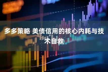 多多策略 美债信用的核心内耗与技术自救