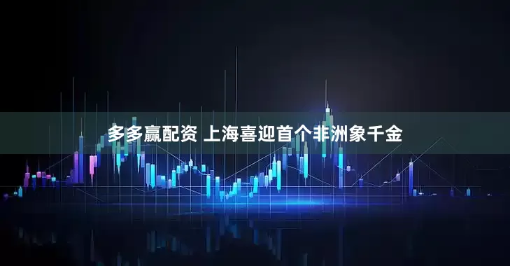 多多赢配资 上海喜迎首个非洲象千金